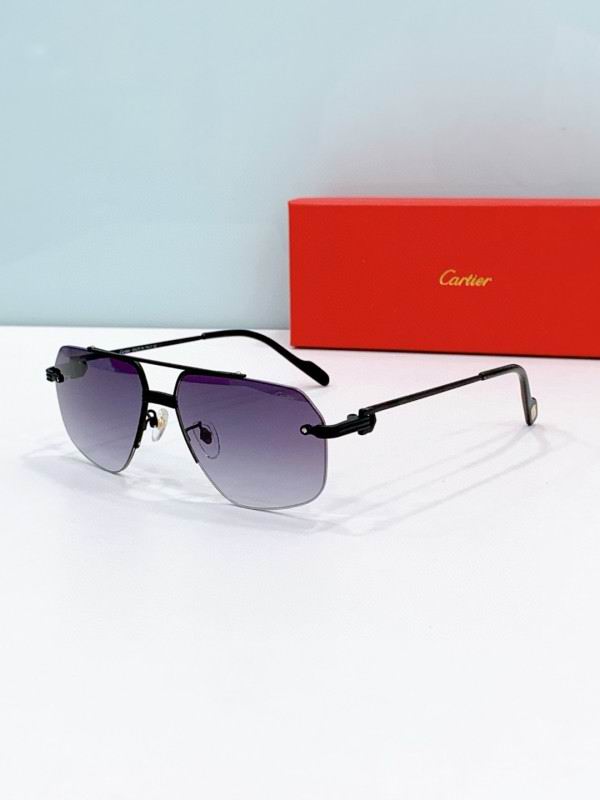 Cartier Glasses 08smh280 (6)