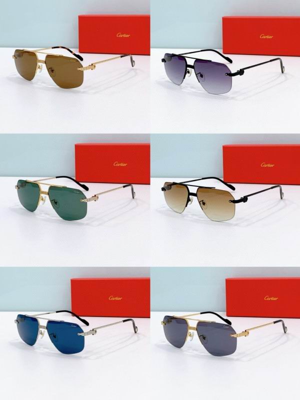 Cartier Glasses 08smh280 (8)