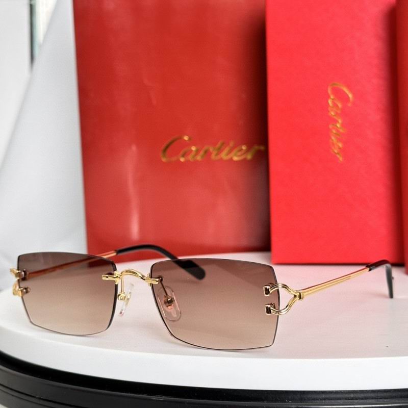 Cartier Glasses 08smh281 (1)