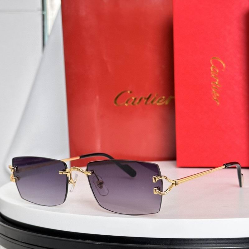 Cartier Glasses 08smh281 (5)