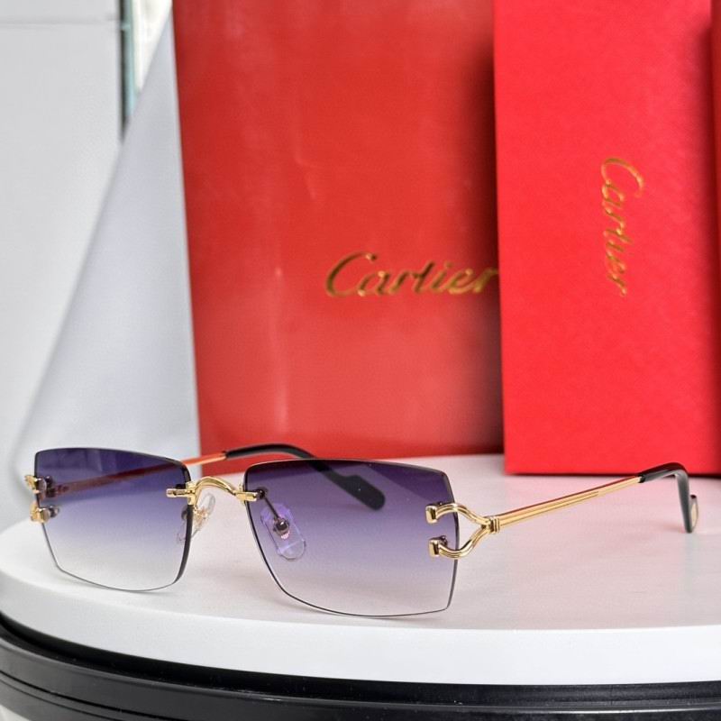 Cartier Glasses 08smh281 (6)