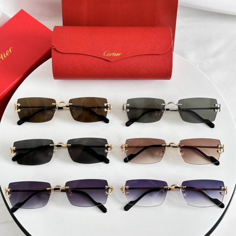 Cartier Glasses 08smh281 (8)