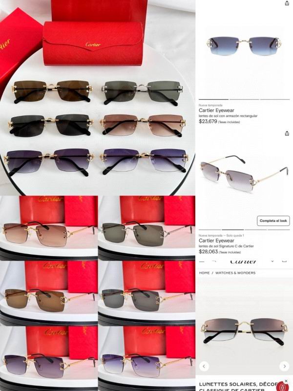 Cartier Glasses 08smh281 (9)