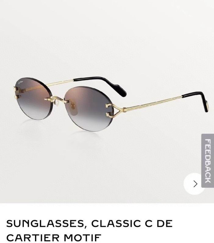 Cartier Glasses 08smh282 (10)