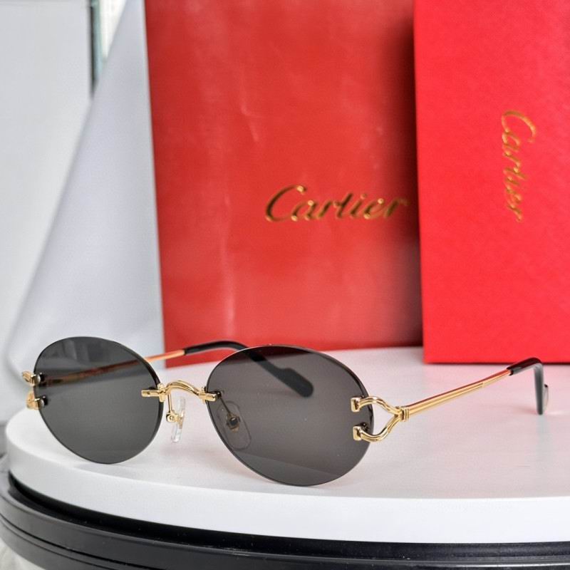 Cartier Glasses 08smh282 (3)