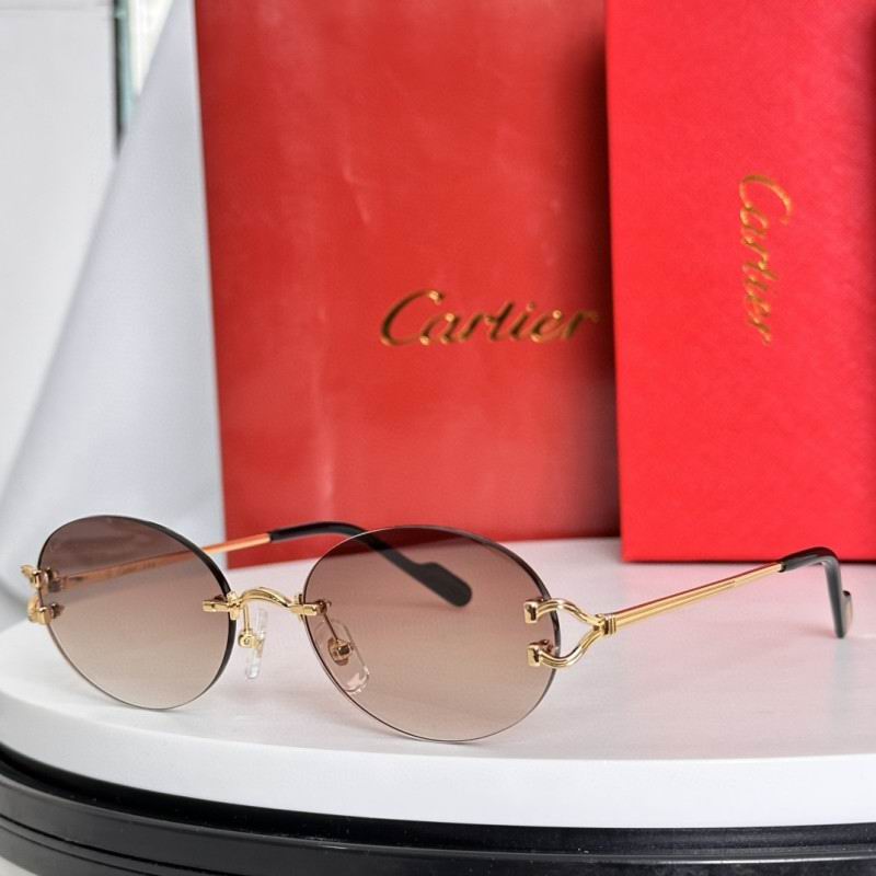Cartier Glasses 08smh282 (6)