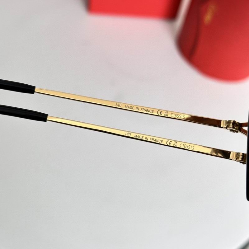 Cartier Glasses 08smh282 (7)