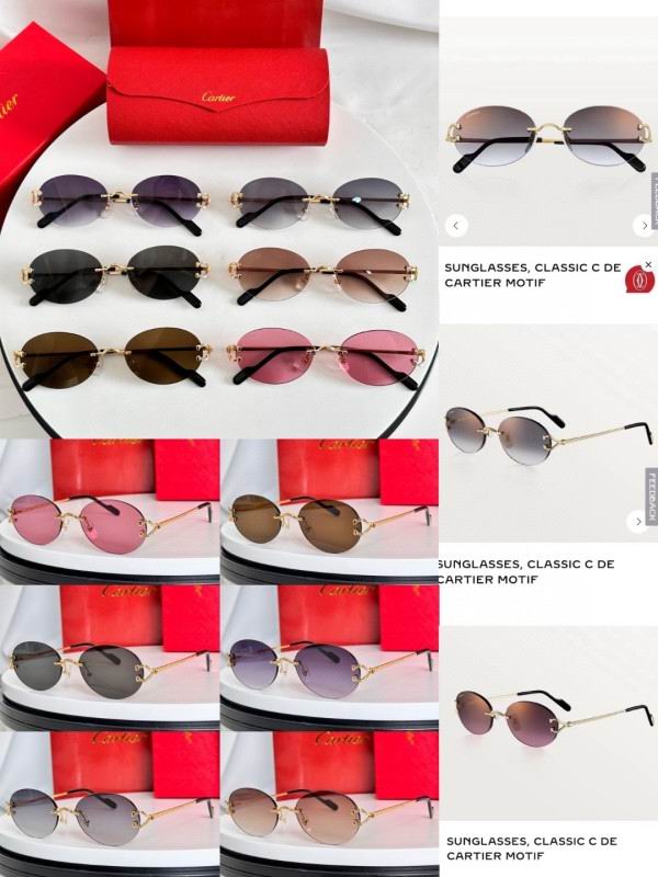 Cartier Glasses 08smh282 (9)