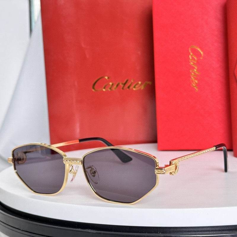 Cartier Glasses 08smh283 (6)