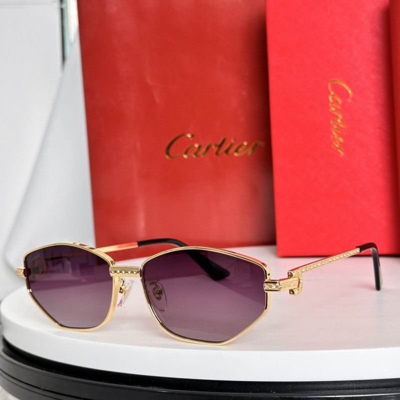 Cartier Glasses 08smh283 (7)