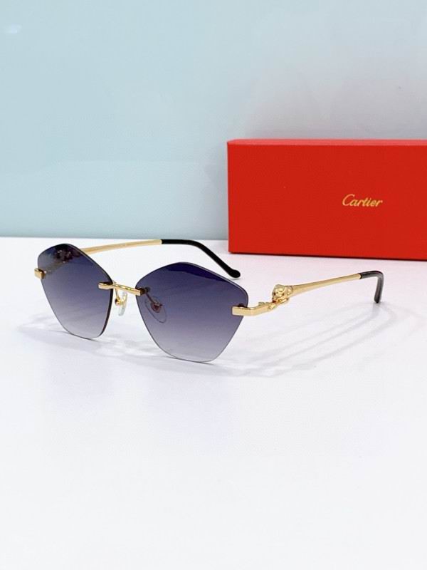Cartier Glasses 08smh284 (1)