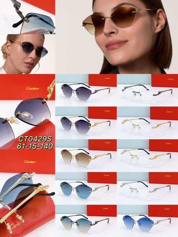 Cartier Glasses 08smh284 (10)