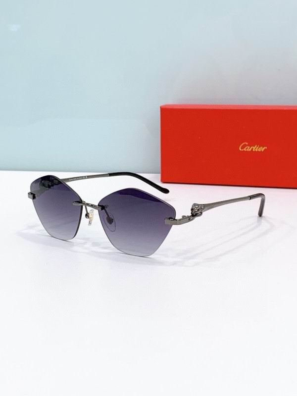 Cartier Glasses 08smh284 (3)