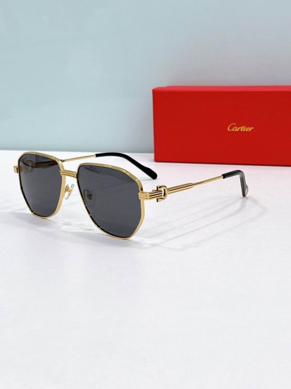 Cartier Glasses 08smh285 (3)