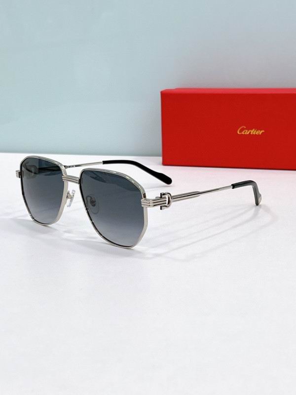 Cartier Glasses 08smh285 (4)
