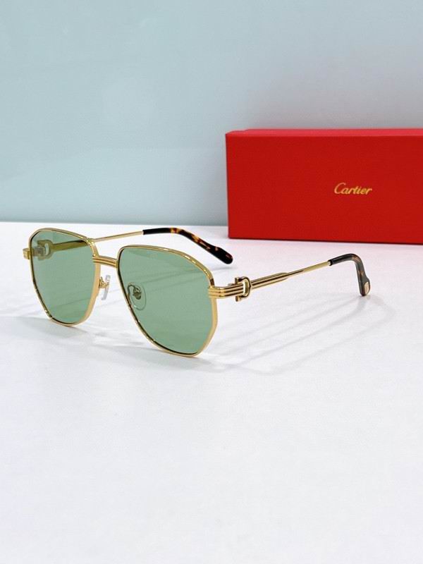 Cartier Glasses 08smh285 (5)
