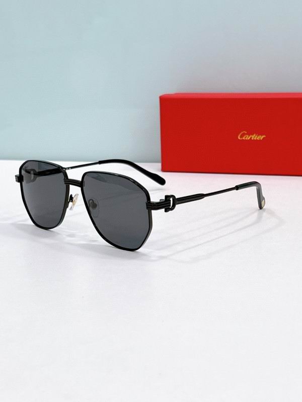 Cartier Glasses 08smh285 (6)