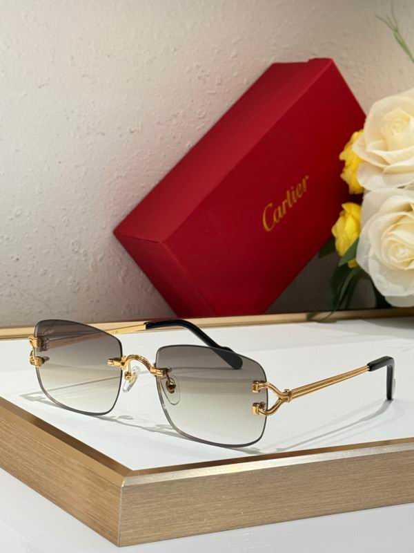 Cartier Glasses 08smh286 (1)