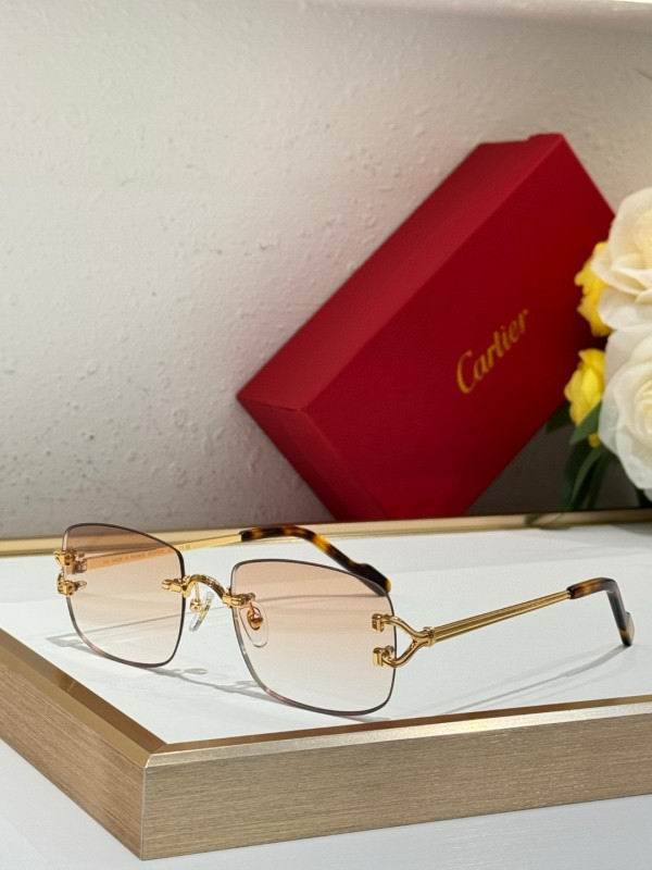 Cartier Glasses 08smh286 (3)