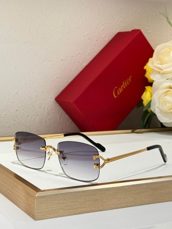 Cartier Glasses 08smh286 (4)