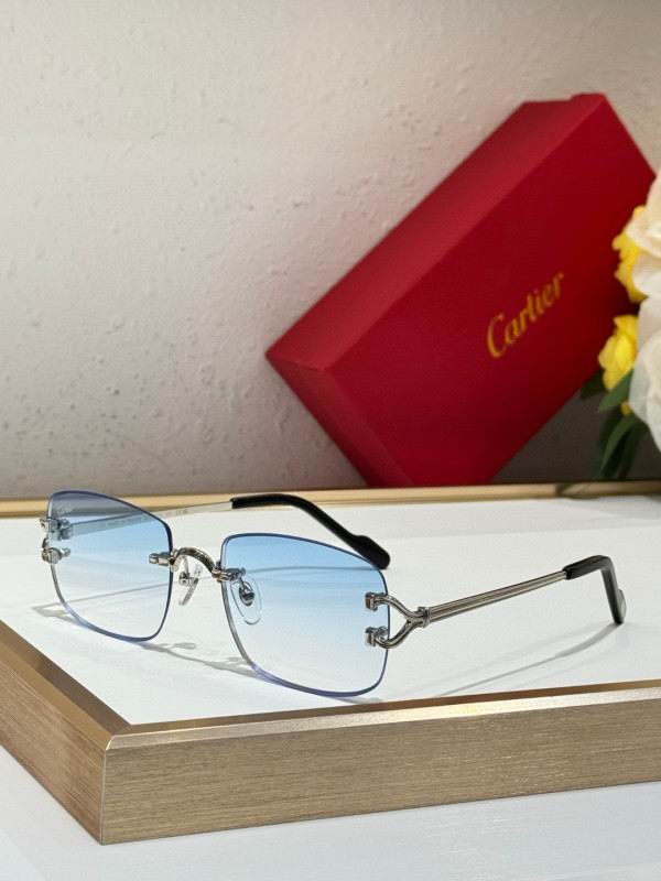 Cartier Glasses 08smh286 (5)
