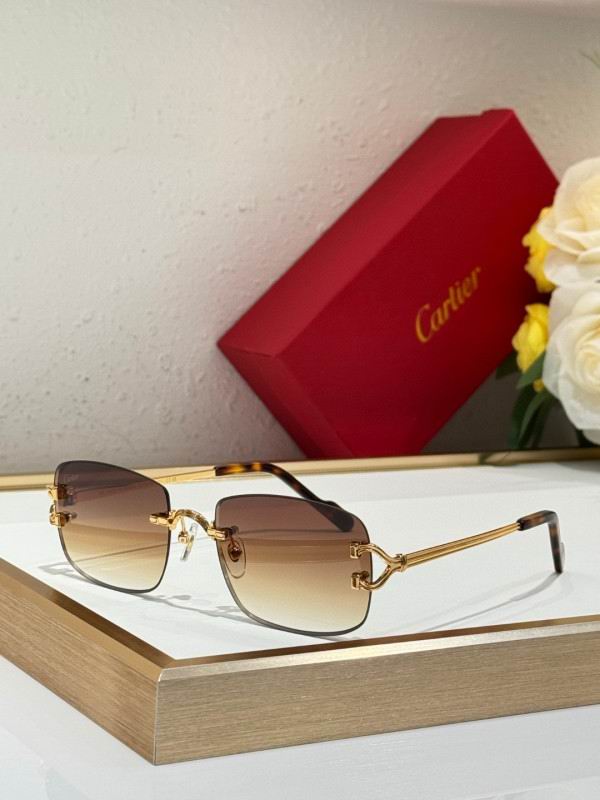 Cartier Glasses 08smh286 (6)