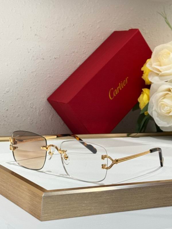 Cartier Glasses 08smh286 (7)