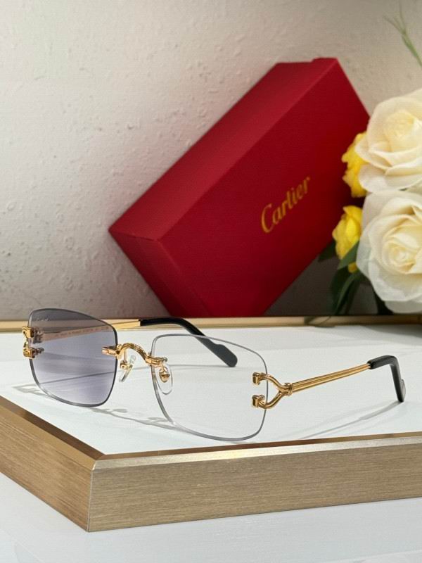 Cartier Glasses 08smh286 (8)