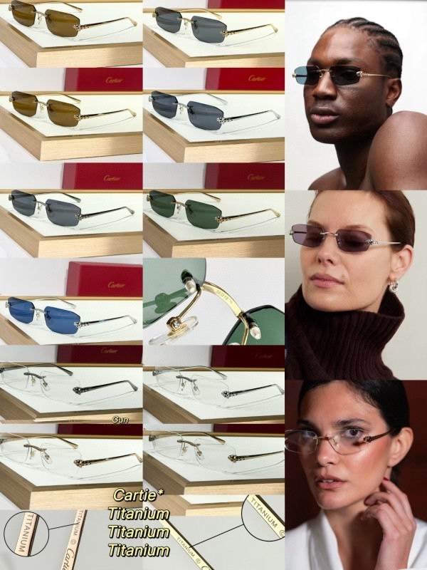 Cartier Glasses 08smh287 (10)