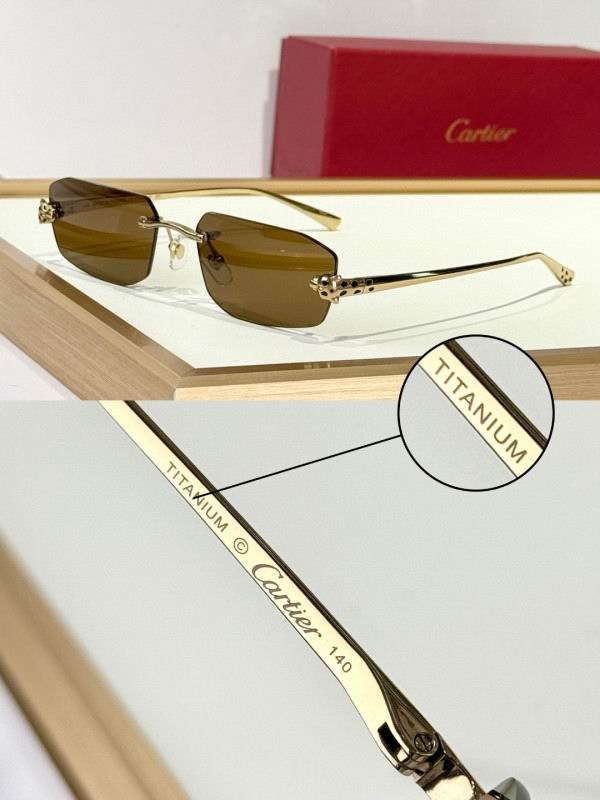 Cartier Glasses 08smh287 (2)