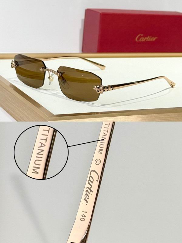 Cartier Glasses 08smh287 (3)