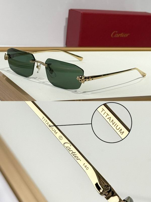 Cartier Glasses 08smh287 (6)
