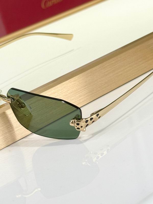 Cartier Glasses 08smh287 (7)