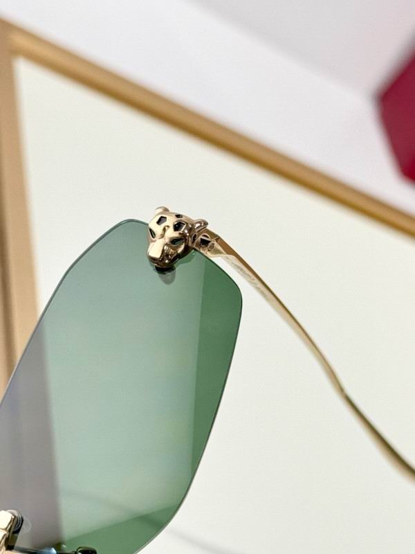 Cartier Glasses 08smh287 (8)