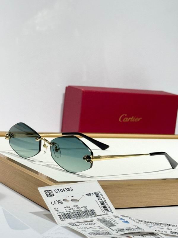 Cartier Glasses 08smh289 (1)