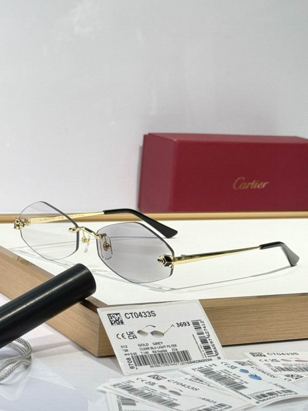 Cartier Glasses 08smh289 (10)