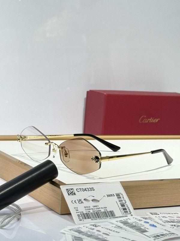 Cartier Glasses 08smh289 (11)