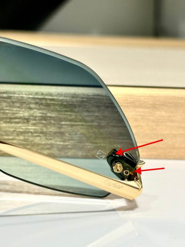 Cartier Glasses 08smh289 (14)