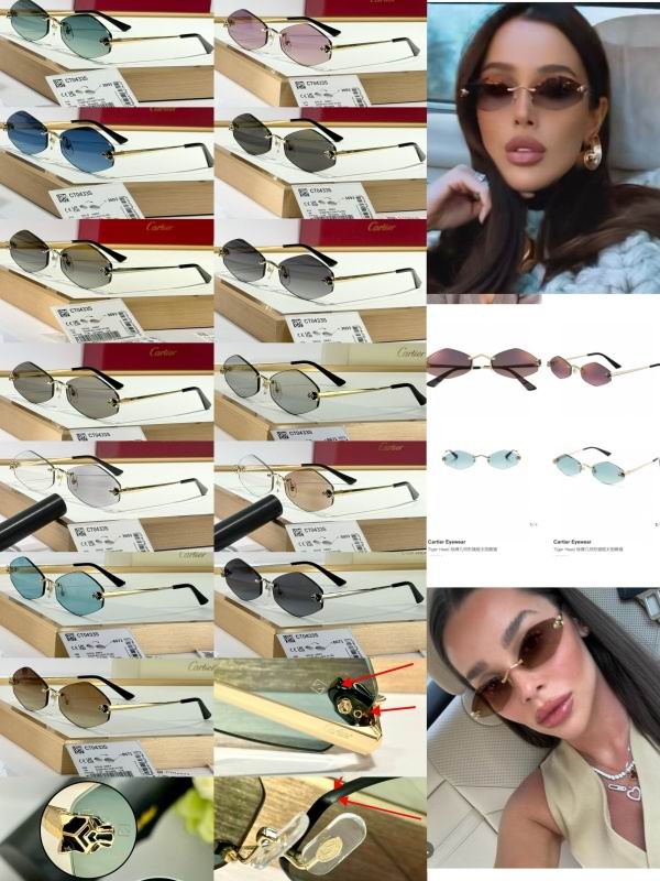 Cartier Glasses 08smh289 (15)