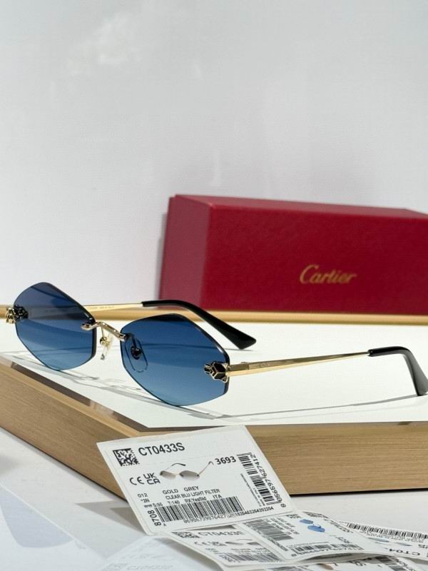 Cartier Glasses 08smh289 (2)