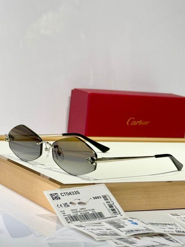 Cartier Glasses 08smh289 (3)