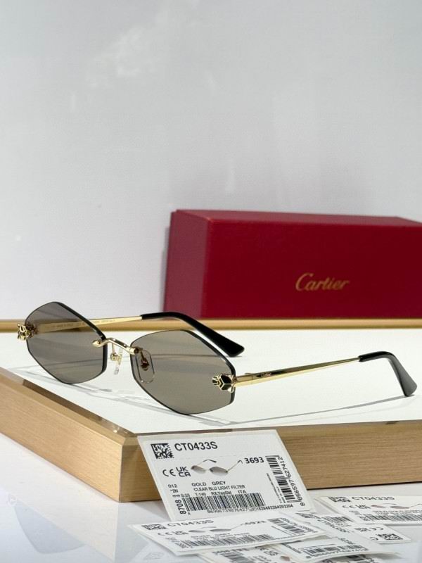 Cartier Glasses 08smh289 (4)
