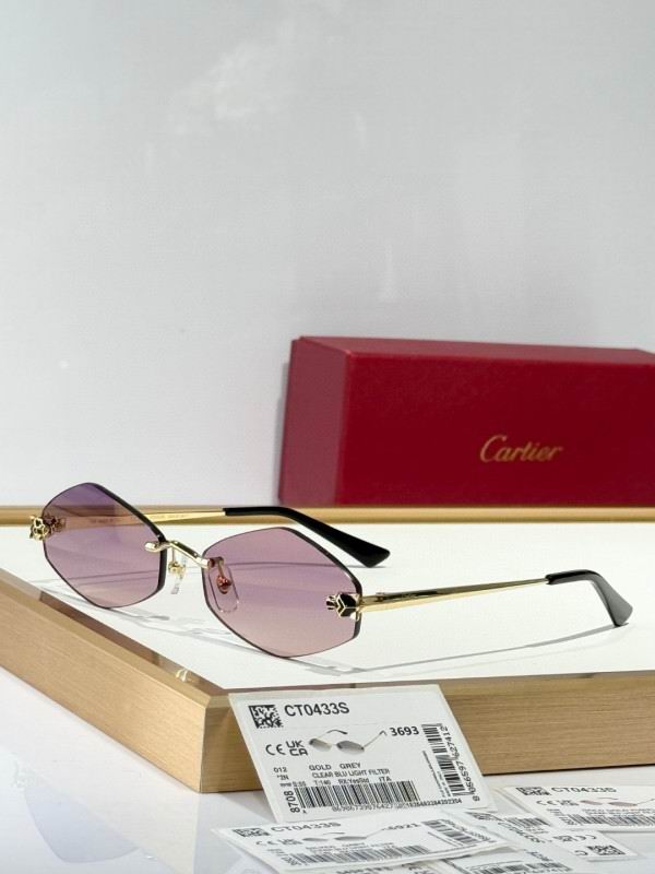 Cartier Glasses 08smh289 (5)