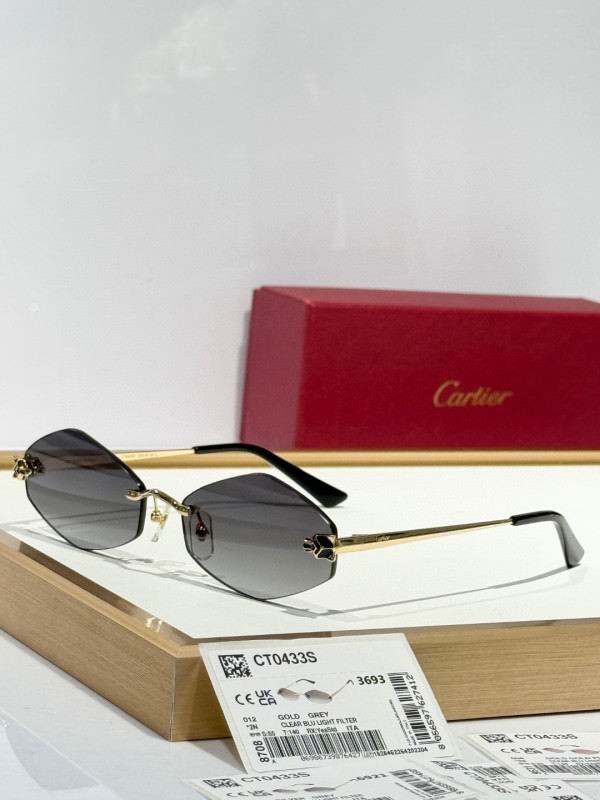 Cartier Glasses 08smh289 (7)