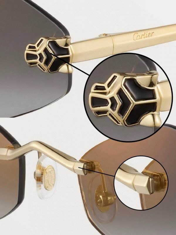 Cartier Glasses 08smh289 (9)