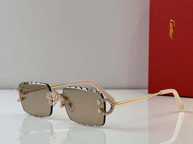 Cartier Glasses 08smh29 (1)