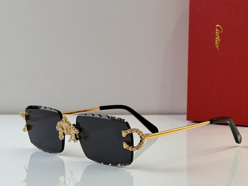 Cartier Glasses 08smh29 (2)