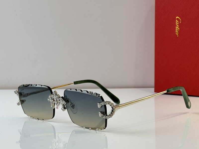 Cartier Glasses 08smh29 (3)