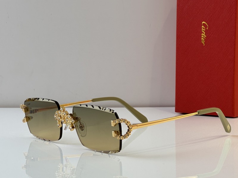 Cartier Glasses 08smh29 (4)