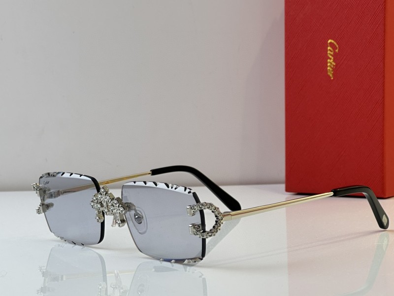 Cartier Glasses 08smh29 (5)